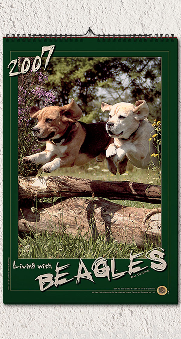 Beagle Wandkalender DIN A2